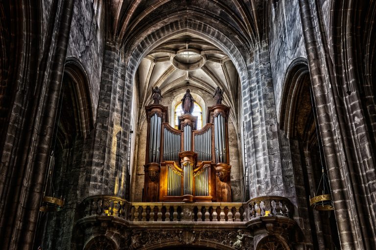 orgel kopen